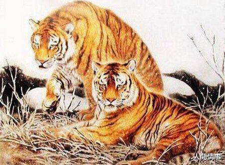 欲钱找敲敲打打的生肖猜一生肖仔细释义、解释与落实、精准解答解释落实