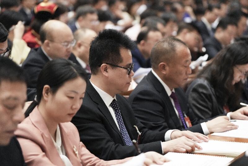 今期生肖三三开,十二生肖最呆萌打生肖，详细解答、专家解答解释落实
