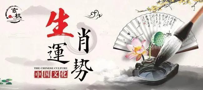 鼠目寸光小人志 对酒当歌愁更愁打一生肖详细解答、前沿解答解释落实