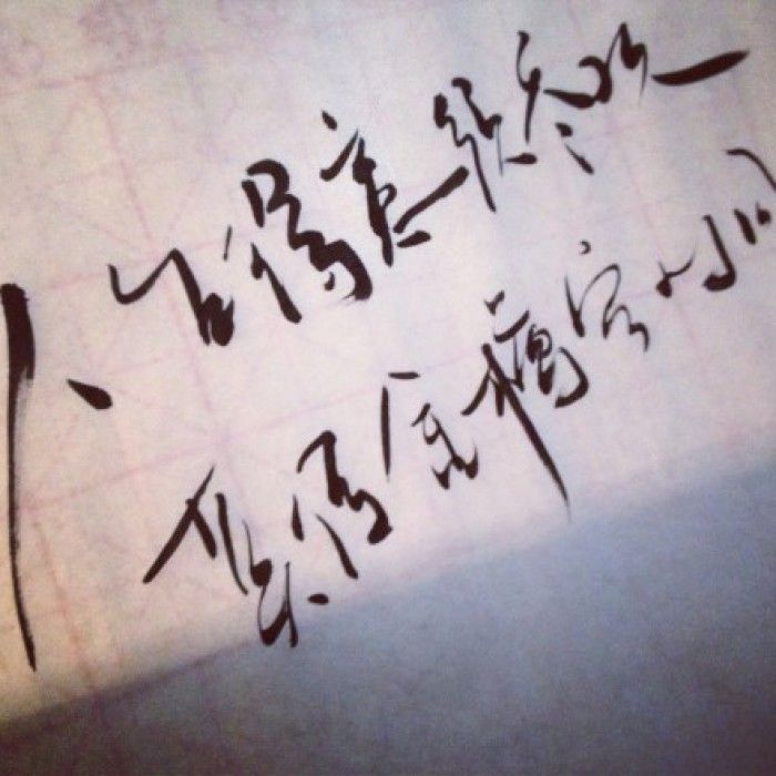 前欢往恨分明在,酒兴诗情大半亡打一生肖全面释义、构建解答解释落实